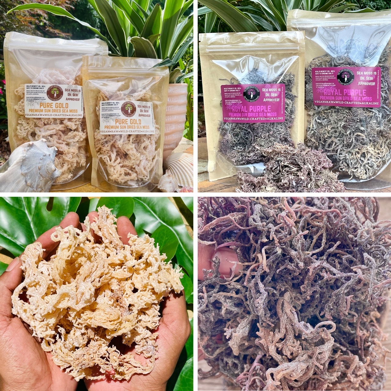 SUBSCRIBE & SAVE Premium Sun-Dried Sea Moss - The Plant Based Punani